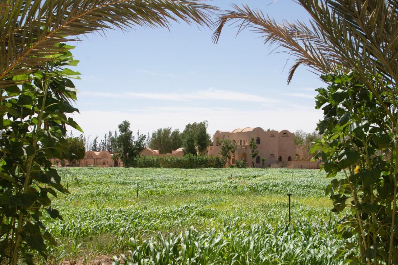 Villa Tzila Bahariya Bahariya Oasis Exterior foto